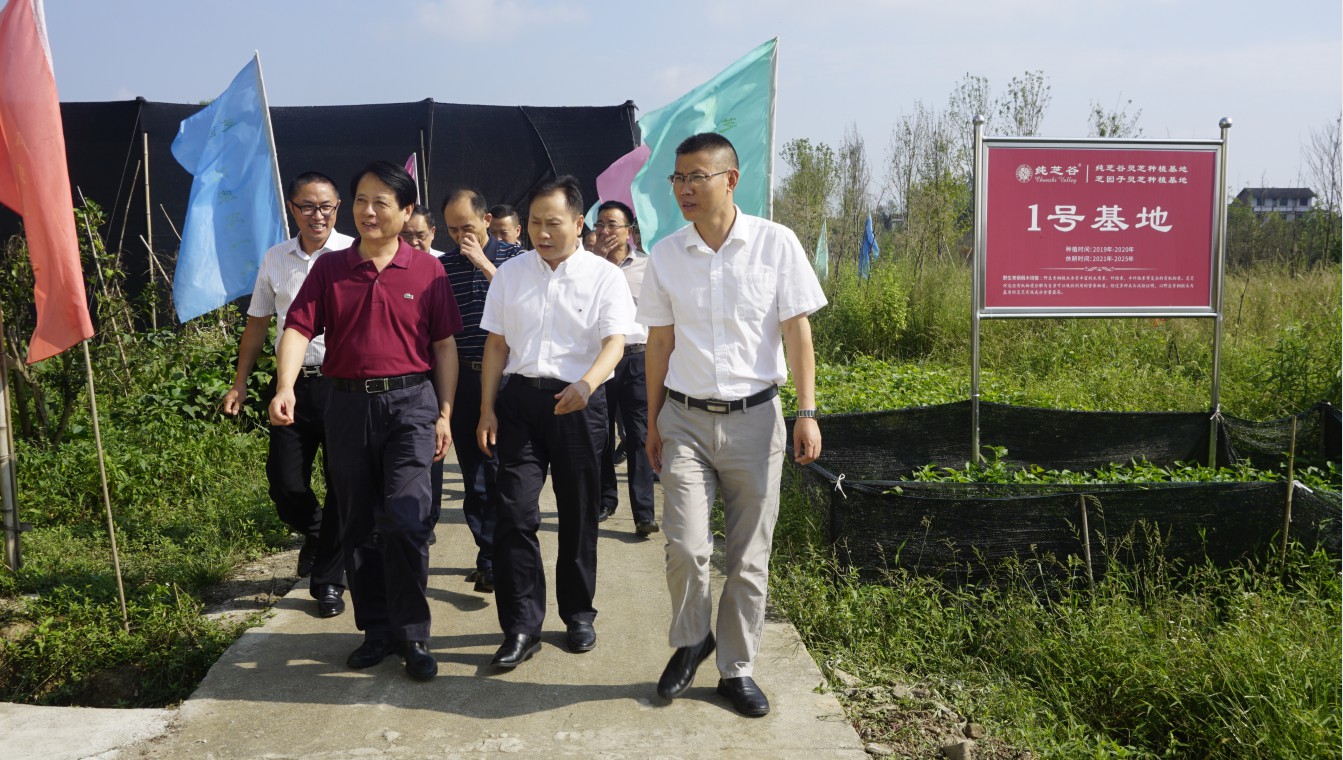 1705042089274521.jpg 1567655786768085.jpg