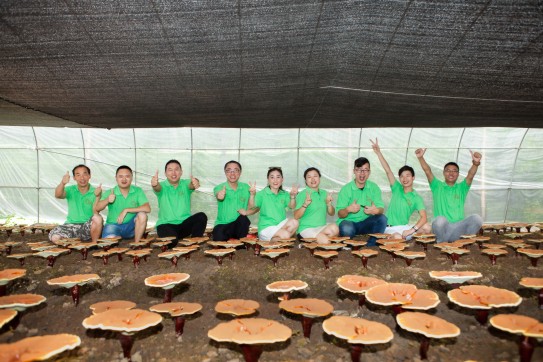 1705042417865721.jpg 1468828706369216.jpg