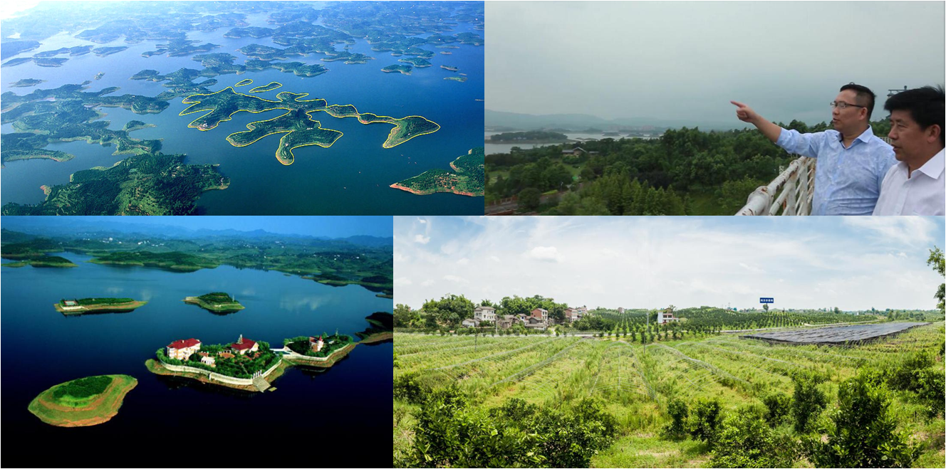 1709523460986846.png image.png