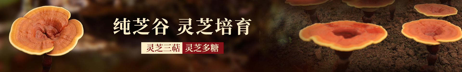 熱搜關(guān)鍵詞 熱搜關(guān)鍵詞